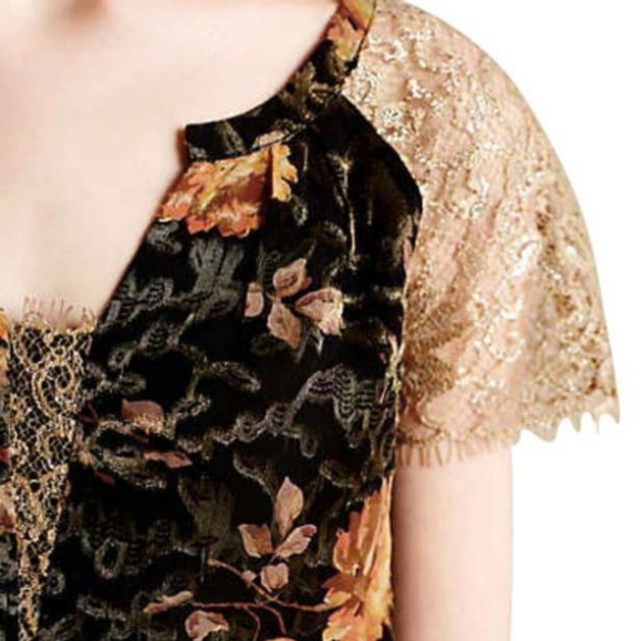 Anthropologie HD in Paris Disa Velvet Burnout Top - Picture 2 of 7